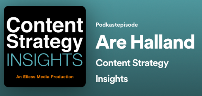 Podcast: Content Strategy Insights with Larry Ellison